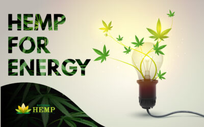 Hemp for Energy – Our Executive Summary